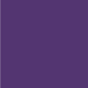 Purple Iris PUR43